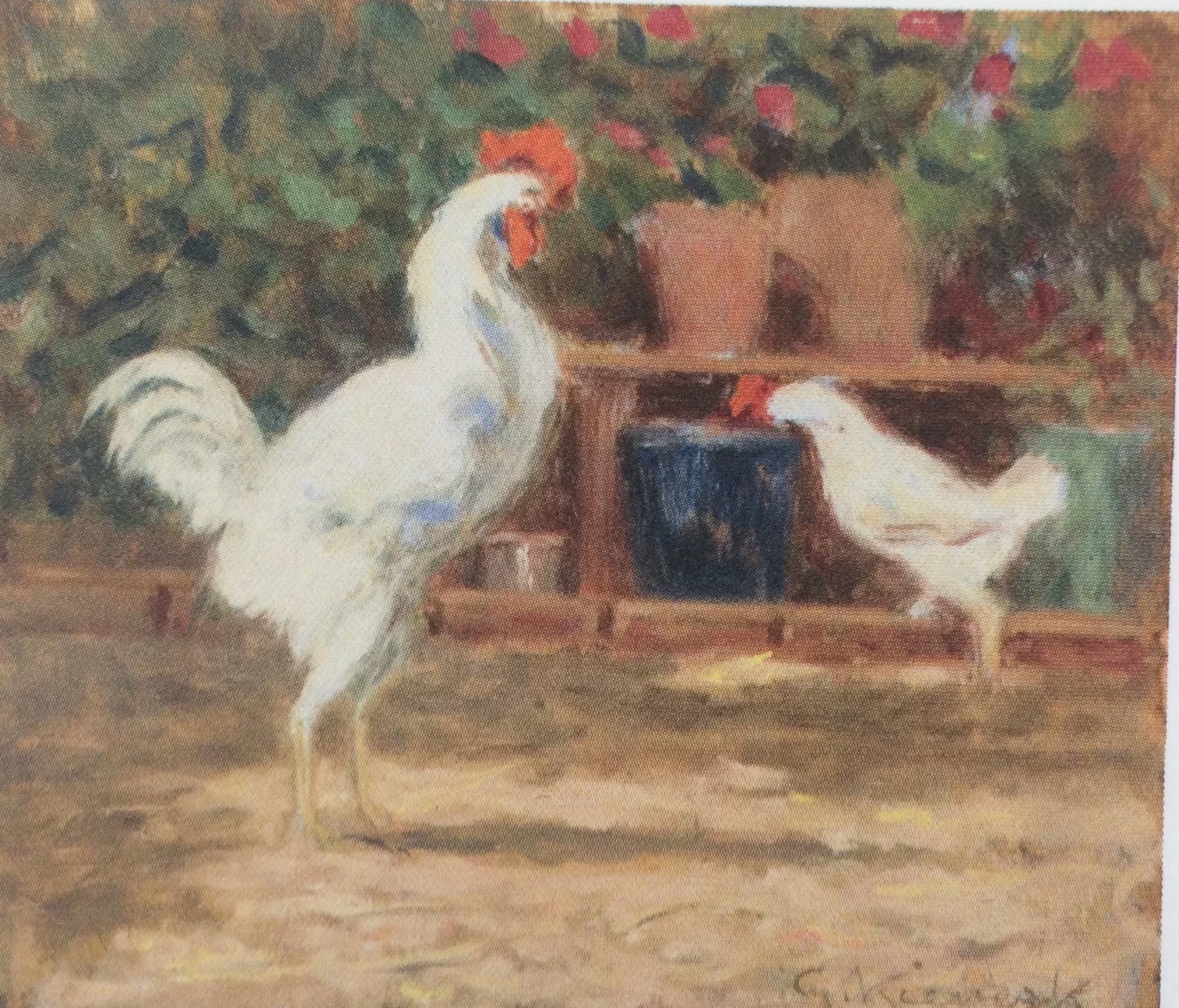 Galletti - Museo Giorgio Kienerk, Fauglia, Pisa
